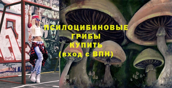 таблы Алексин